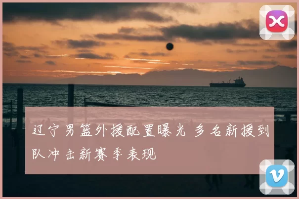 辽宁男篮外援配置曝光 多名新援到队冲击新赛季表现