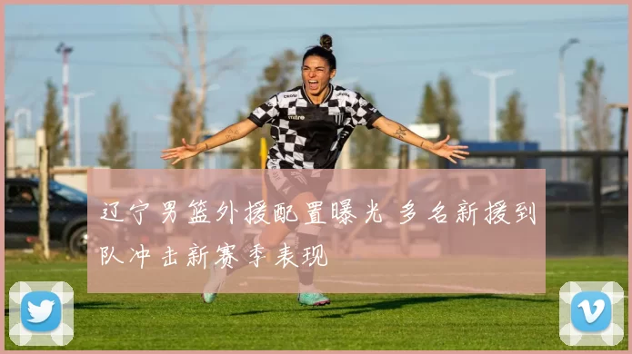 辽宁男篮外援配置曝光 多名新援到队冲击新赛季表现