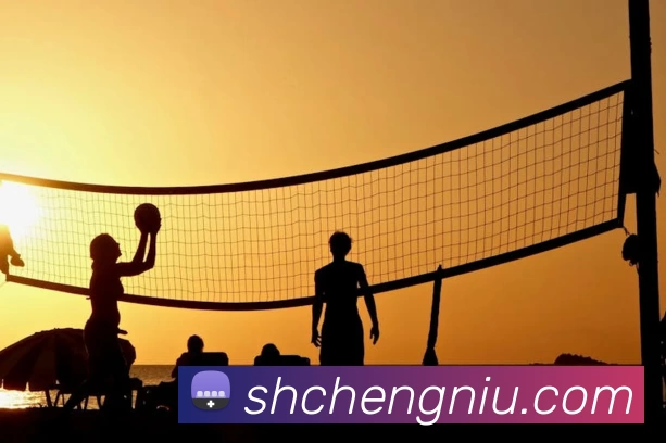 奥运会金牌榜前十名出炉 各国排名与奖牌总数成焦点